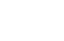 t-levo